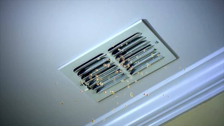 Best Ventilation System Cleaning in USA